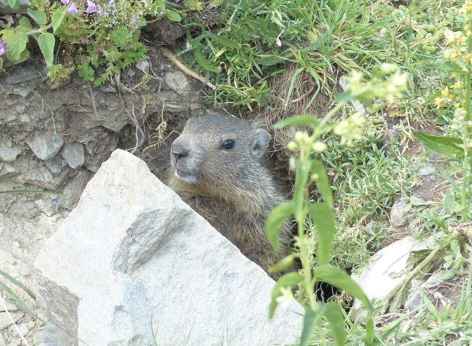 5f9ccfc8-a579-476d-a867-fa981fc75bf4