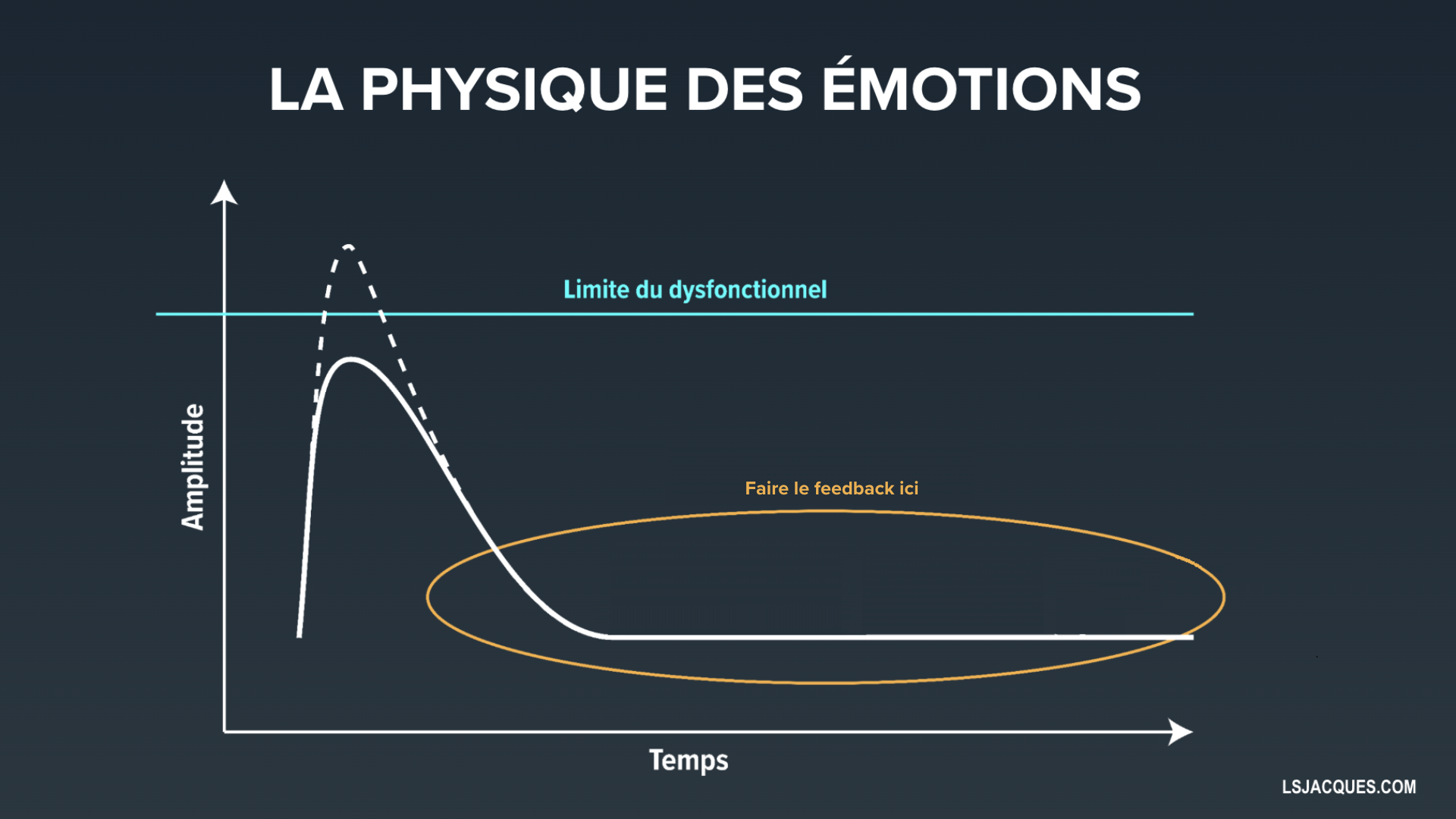 Physique des émotions feedback